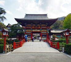 祐徳稲荷神社⛩